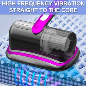 Portable Vacuum Cleaner