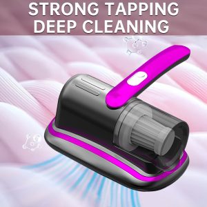 Portable Vacuum Cleaner